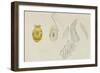 Pleurobranchus Aureus: Yellow-Plumed Sea Slug-Philip Henry Gosse-Framed Giclee Print