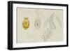 Pleurobranchus Aureus: Yellow-Plumed Sea Slug-Philip Henry Gosse-Framed Giclee Print