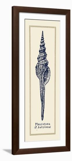 Pleurotoma Shell II-Gregory Gorham-Framed Premium Giclee Print