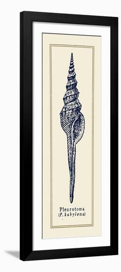 Pleurotoma Shell II-Gregory Gorham-Framed Premium Giclee Print