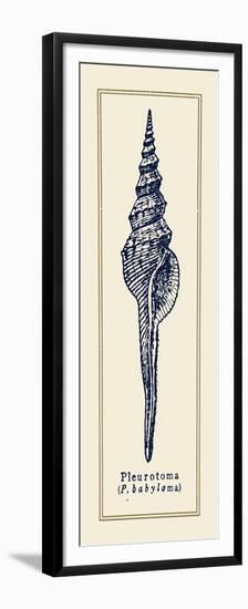 Pleurotoma Shell II-Gregory Gorham-Framed Premium Giclee Print