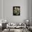 Pleurotus Ostreatus (Oyster Mushroom, Mock Oyster, Oyster Cap)-Paul Starosta-Framed Photographic Print displayed on a wall