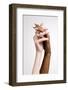 Plexus of Female Hands and Fingers. Graceful Female Hands Touch Each Other Isolated on Grey Studio-master1305-Framed Photographic Print