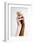 Plexus of Female Hands and Fingers. Graceful Female Hands Touch Each Other Isolated on Grey Studio-master1305-Framed Photographic Print