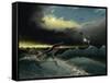 Pliosaurus Irgisensis Attacking a Shark-null-Framed Stretched Canvas