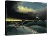 Pliosaurus Irgisensis Attacking a Shark-null-Stretched Canvas