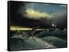 Pliosaurus Irgisensis Attacking a Shark-null-Framed Stretched Canvas
