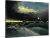 Pliosaurus Irgisensis Attacking a Shark-null-Stretched Canvas