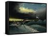 Pliosaurus Irgisensis Attacking a Shark-null-Framed Stretched Canvas