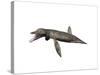 Pliosaurus Kevani, Late Jurassic of England-null-Stretched Canvas