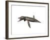 Pliosaurus Kevani, Late Jurassic of England-null-Framed Art Print