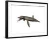 Pliosaurus Kevani, Late Jurassic of England-null-Framed Art Print