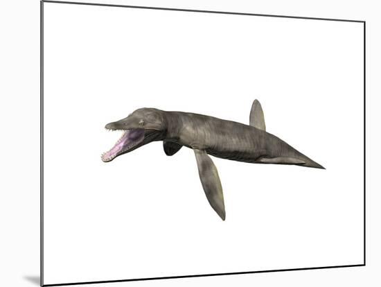 Pliosaurus Kevani, Late Jurassic of England-null-Mounted Art Print