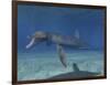 Pliosaurus Kevani, Late Jurassic of England-null-Framed Art Print