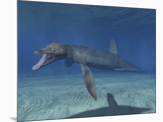 Pliosaurus Kevani, Late Jurassic of England-null-Mounted Art Print