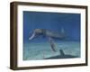 Pliosaurus Kevani, Late Jurassic of England-null-Framed Art Print