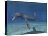 Pliosaurus Kevani, Late Jurassic of England-null-Stretched Canvas