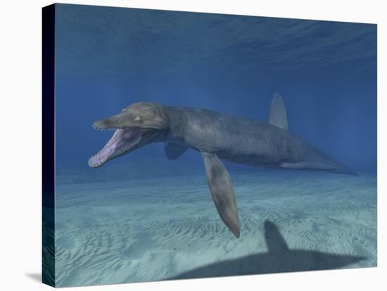 Pliosaurus Kevani, Late Jurassic of England-null-Stretched Canvas