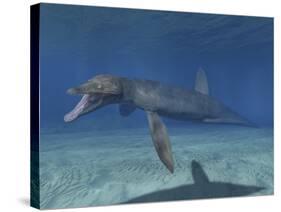 Pliosaurus Kevani, Late Jurassic of England-null-Stretched Canvas