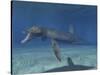 Pliosaurus Kevani, Late Jurassic of England-null-Stretched Canvas