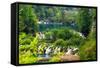 Plitvice Lakes National Park, Croatia-Lamarinx-Framed Stretched Canvas