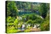 Plitvice Lakes National Park, Croatia-Lamarinx-Stretched Canvas