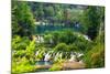 Plitvice Lakes National Park, Croatia-Lamarinx-Mounted Photographic Print