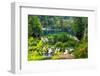 Plitvice Lakes National Park, Croatia-Lamarinx-Framed Photographic Print