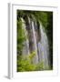 Plitvice Lakes National Park, Lika-Senj County & Karlovac County, Croatia. Waterfalls within the...-null-Framed Photographic Print