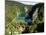 Plitvice Lakes National Park, UNESCO World Heritage Site, Croatia, Europe-Carlo Morucchio-Mounted Photographic Print