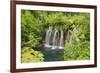 Plitvice Lakes National Park, UNESCO World Heritage Site, Croatia, Europe-Gary Cook-Framed Photographic Print