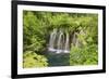 Plitvice Lakes National Park, UNESCO World Heritage Site, Croatia, Europe-Gary Cook-Framed Photographic Print