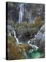 Plitvice National Park-Bob Gibbons-Stretched Canvas