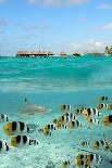 Kayak on A Tropical White Beach-pljvv-Photographic Print