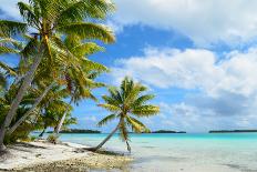 Shark and Butterfly Fish at Bora Bora-pljvv-Photographic Print