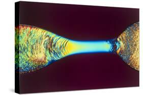 PLM of Two Synthetic Liquid Crystal Polymer Fibres-Science Photo Library-Stretched Canvas