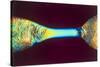 PLM of Two Synthetic Liquid Crystal Polymer Fibres-Science Photo Library-Stretched Canvas