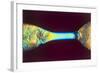 PLM of Two Synthetic Liquid Crystal Polymer Fibres-Science Photo Library-Framed Premium Photographic Print