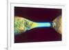 PLM of Two Synthetic Liquid Crystal Polymer Fibres-Science Photo Library-Framed Photographic Print