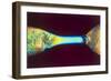 PLM of Two Synthetic Liquid Crystal Polymer Fibres-Science Photo Library-Framed Photographic Print