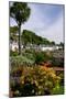 Plockton, Highland, Scotland-Peter Thompson-Mounted Photographic Print