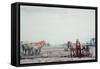 Plough Horses-Harry Becker-Framed Stretched Canvas