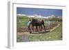 Ploughing, 1887-90-Giovanni Segantini-Framed Giclee Print