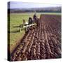 Ploughing a Field-null-Stretched Canvas