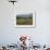 Ploughing An Agricultural Field, Marayoor, Kerala, India, Asia-null-Framed Photographic Print displayed on a wall