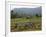 Ploughing An Agricultural Field, Marayoor, Kerala, India, Asia-null-Framed Photographic Print