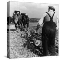 Ploughing Contest 1950s-Henry Grant-Stretched Canvas