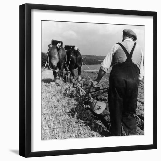 Ploughing Contest 1950s-Henry Grant-Framed Photographic Print