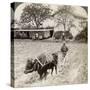 Ploughing Flooded Ground for Rice Planting, North of the Main Road at Uji, Near Kyoto, Japan, 1904-Underwood & Underwood-Stretched Canvas