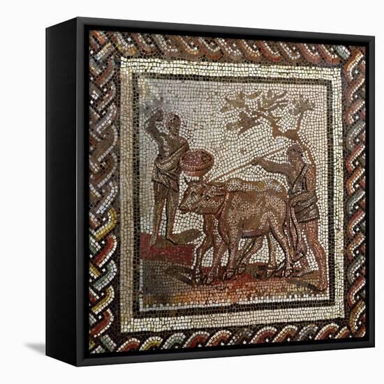 Ploughing, from Saint-Romain-En-Gal, Rhone-Alpes, France, 3rd Century AD-null-Framed Stretched Canvas